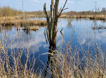 netherlands/drenthe-province/landmark/bargerveen-nature-reserve