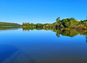 madagascar/ranomafana-national-park/landmark/ankarafantsika-national-park