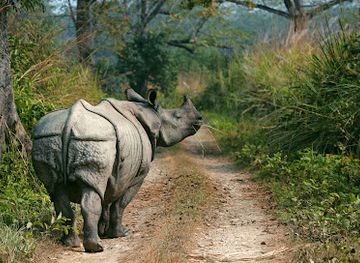 nepal/chitwan-national-park/landmark/the-chitwan-tiger-guide-service-and-mini-library