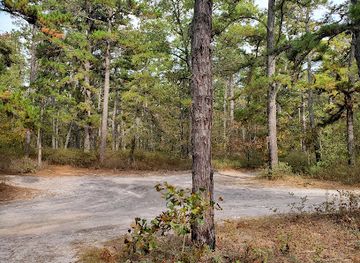 new-jersey/pine-barrens/landmark/the-pine-barrens