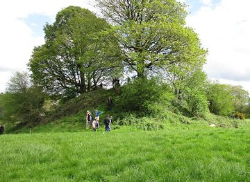 ireland/county-wexford/landmark/old-ross