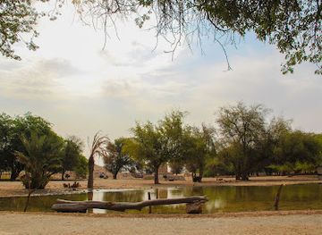 qatar/al-rayyan/landmark/al-dosari-zoo-and-game-reserve