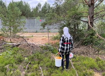 lithuania/aukstaitija-national-park/landmark/pieciausias-lietuvos-taskas