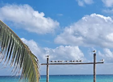 mexico/playa-del-carmen/downtown-playa-del-carmen/landmark/marco-playa-del-carmen