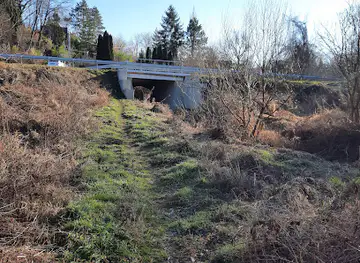 Potoranj ulica