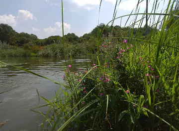 Sivers'kyi Donets'-Donbas Channel