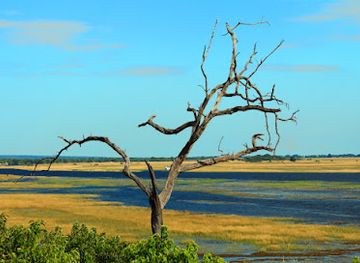 namibia/katima-mulilo/landmark/caprivi-adventures