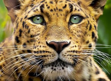 tanzania/tarangire-national-park/landmark/serengeti-morning-dew