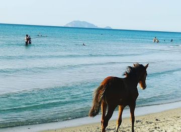tunisia/the-cap-bon-peninsula/landmark/rtiba-lovers-eco-tours-et-loisirs