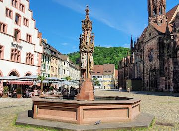 germany/freiburg/landmark/fischbrunnen