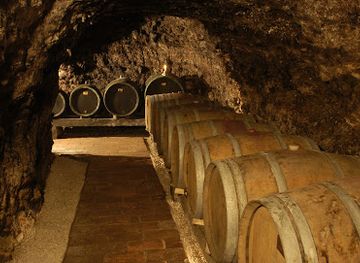 hungary/sopron-wine-region/landmark/gangl-winery