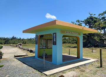 puerto-rico/vieques/landmark/parque-de-la-ceiba-de-vieques-reserva-natural