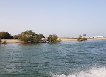 qatar/al-thakira-mangroves/landmark/mangrove-channel-aquasports