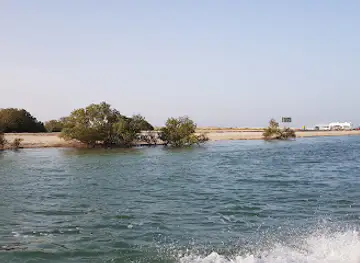 Mangrove Channel -Aquasports