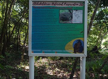 palau/ngchesar/landmark/palau-oldest-stone-carvings
