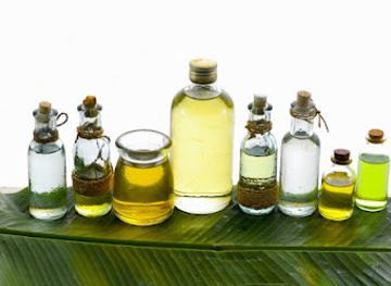 trinidad-and-tobago/tobago/landmark/concordia-estate-nature-park