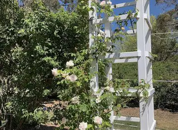 Old Parliament House Gardens