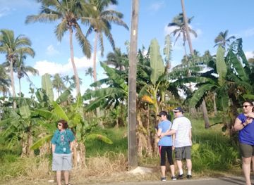 tonga/uoleva-island/landmark/3-headed-coconut