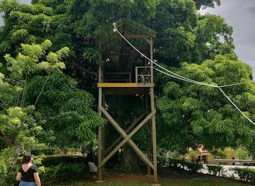 dominican-republic/samana/landmark/zip-line