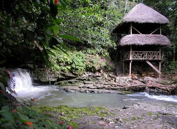 ecuador/napo-region/landmark/jungle-expeditions-lodge-tours