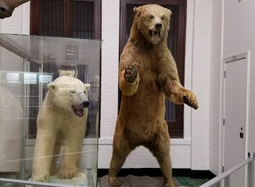 louisiana/baton-rouge/lsu-south/landmark/lsu-museum-of-natural-science