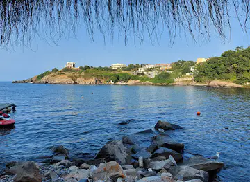 Paradise Bay