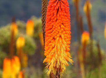 ethiopia/simien-mountains-national-park/landmark/simien-ethiopia-tours