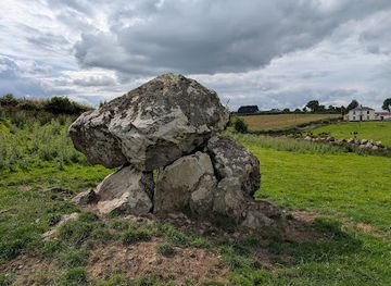 ireland/county-longford/landmark/cleenrah-portal-tomb-dolmen