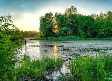 bangladesh/ratargul-swamp-forest/landmark/khadimnagar-national-park