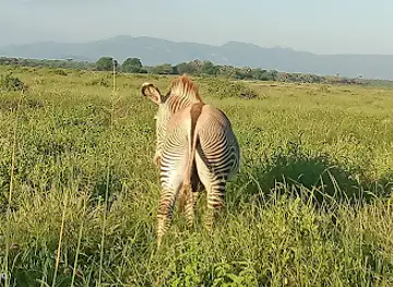 Samburu National Reserve Gate