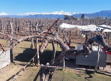 argentina/cuyo/landmark/kaiken-ramos-generales-by-francis-mallmann