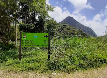 saint-lucia/soufriere-quarter/landmark/enbas-saut-waterfalls