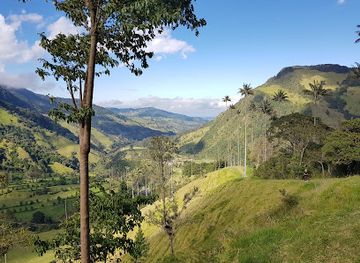 colombia/cocora-valley/landmark/acaime-nature-reserve