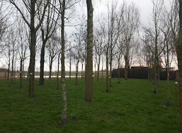 belgium/de-haan/landmark/geboortebos-wenduine