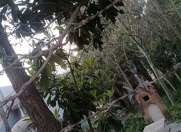 pakistan/hindko-region/landmark/qabristaan