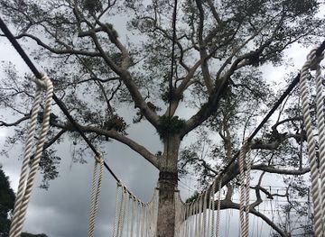 ghana/ahanta/landmark/kakum-national-park