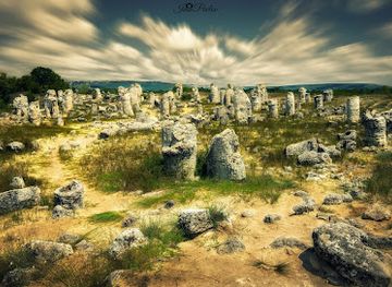 bulgaria/danubian-plain/landmark/pobitite-kamuni