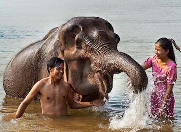 laos/xiangkhoang-province/landmark/manifa-elephant-camp-luang-prabang-office