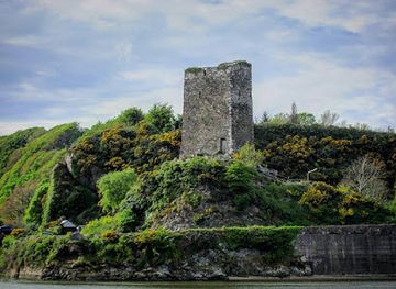 ireland/county-wexford/landmark/roche-s-tower-house