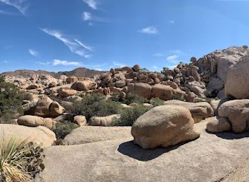 california/joshua-tree/landmark/joshua-tree-excursions