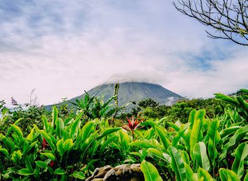 costa-rica/arenal-volcano-area/landmark/rainforest-chocolate-tour