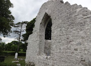 ireland/county-roscommon/landmark/tulsk-abbey