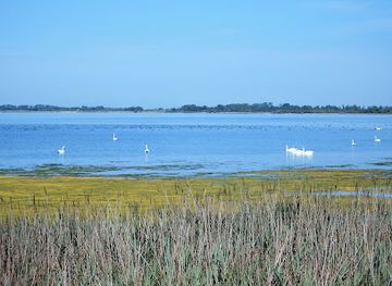 france/camargue/landmark/reserve-naturelle-nationale-de-camargue