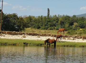 georgia/samegrelo-zemo-svaneti/landmark/cha-cha-riverside-beach