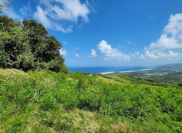 barbados/hastings/landmark/cherry-tree-hill