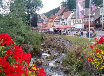 germany/black-forest/landmark/schwarzwaldmuseum