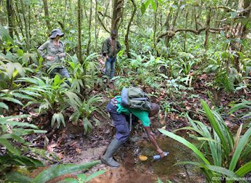 liberia/southeastern-region/landmark/visit-liberia-travel-tours