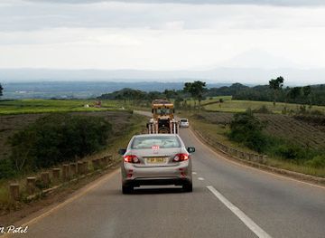 malawi/zomba/landmark/thyolo-tea-estate