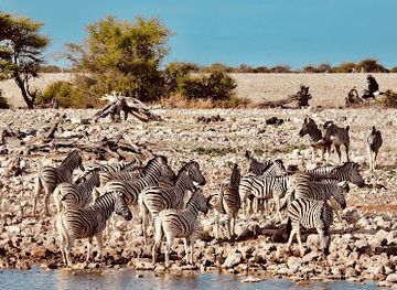 namibia/etosha-national-park/landmark/okaukuejo-etosha