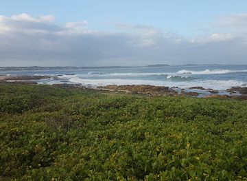 south-africa/eastern-cape/landmark/seal-point-lighthouse
